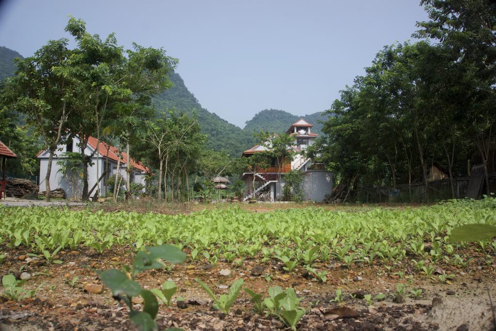 Ho Khanh'S Homestay Phong Nha Buitenkant foto