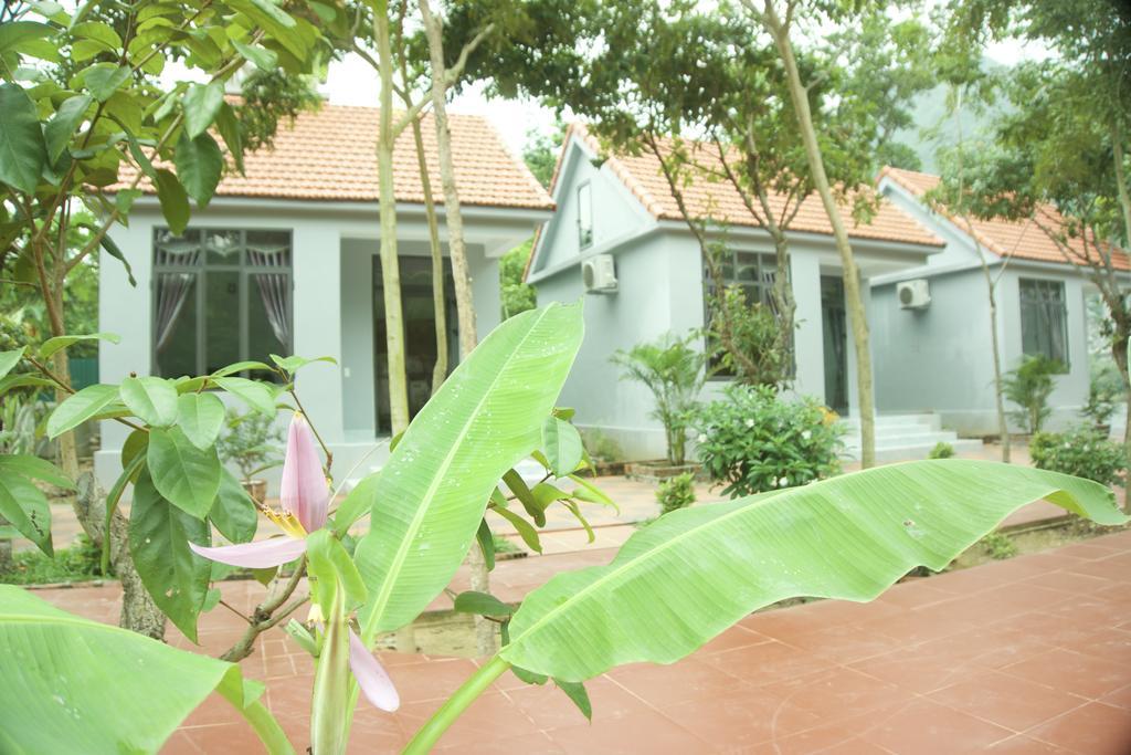 Ho Khanh'S Homestay Phong Nha Buitenkant foto
