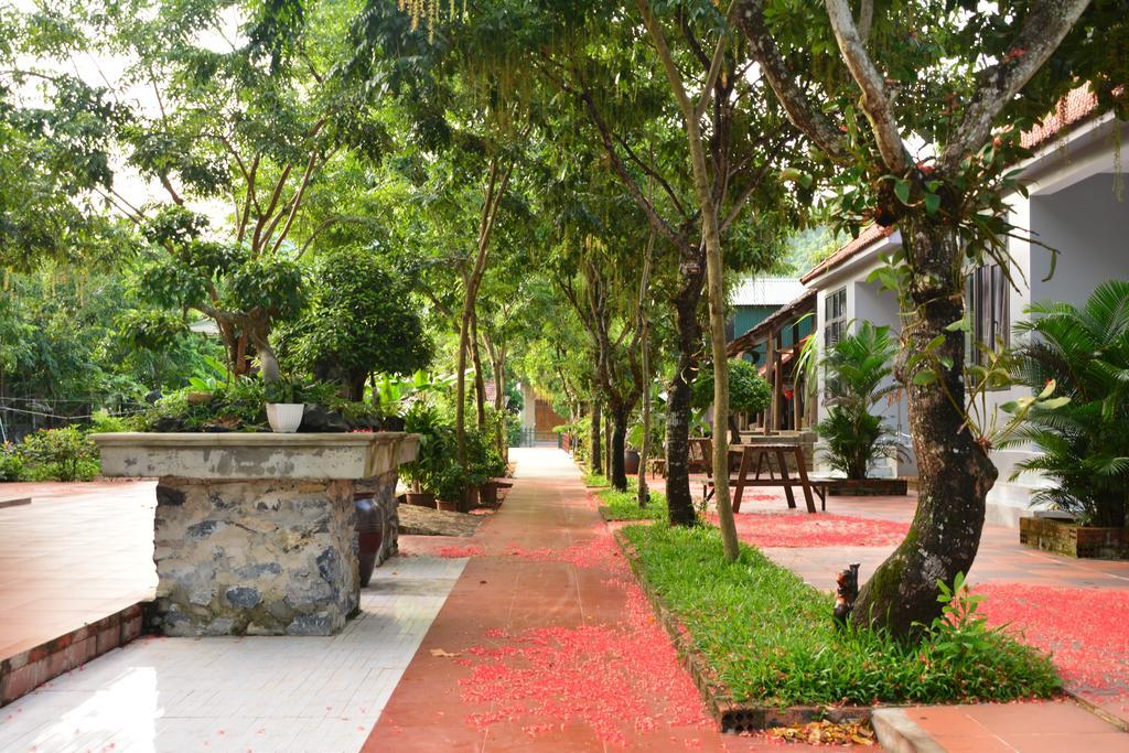 Ho Khanh'S Homestay Phong Nha Buitenkant foto