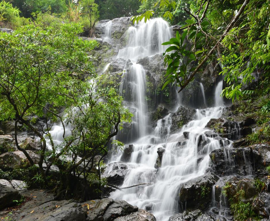 Ho Khanh'S Homestay Phong Nha Buitenkant foto